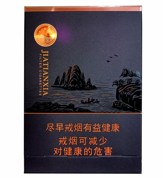 真龙（甲天下中支）