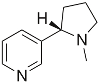 尼古丁（烟碱）简述